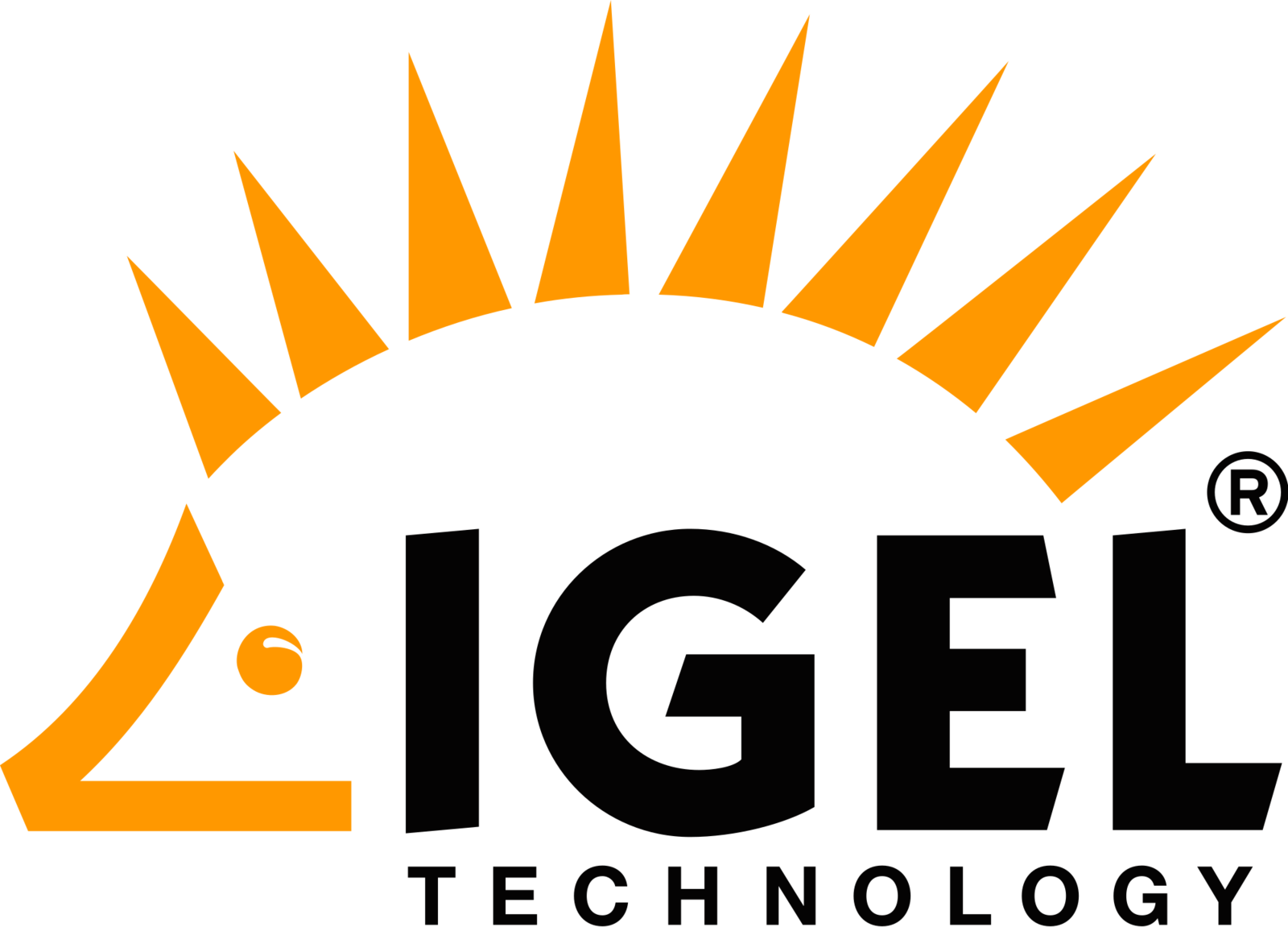 Igel Technology Igel Technology